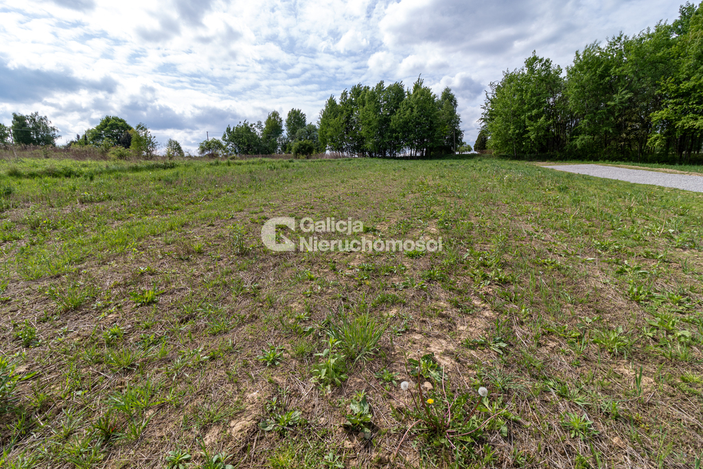 Galicja Nieruchomości Galicja Nieruchomości