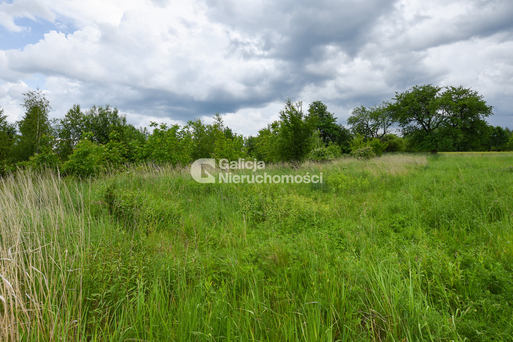 Galicja Nieruchomości Galicja Nieruchomości