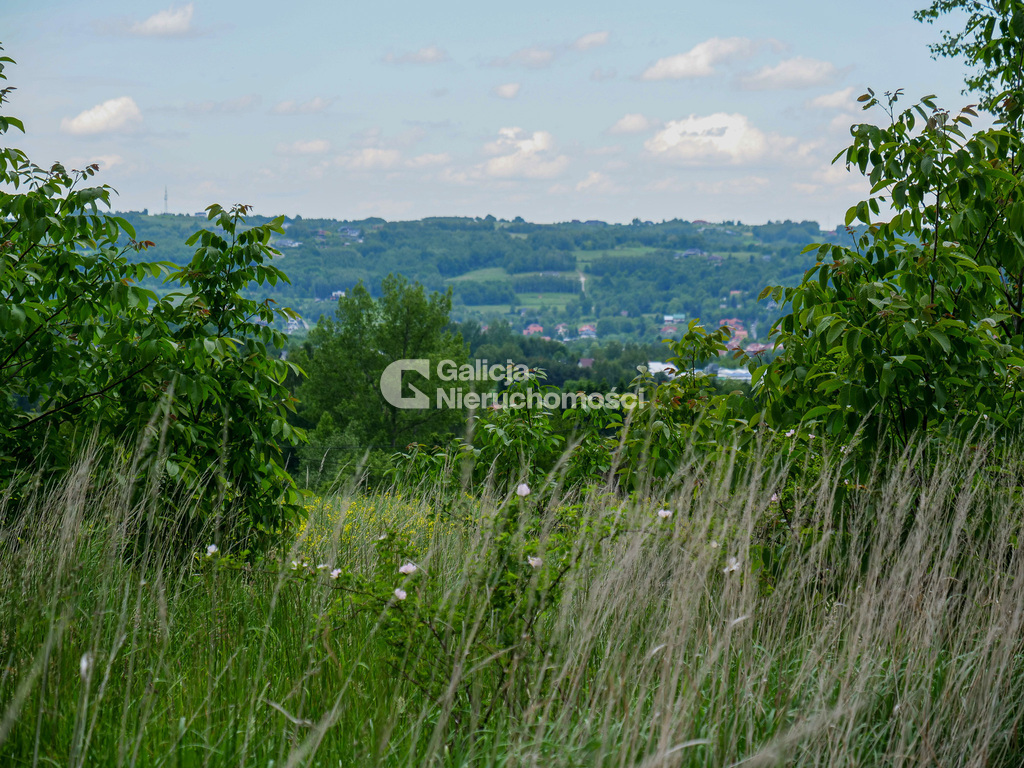 Galicja Nieruchomości Galicja Nieruchomości