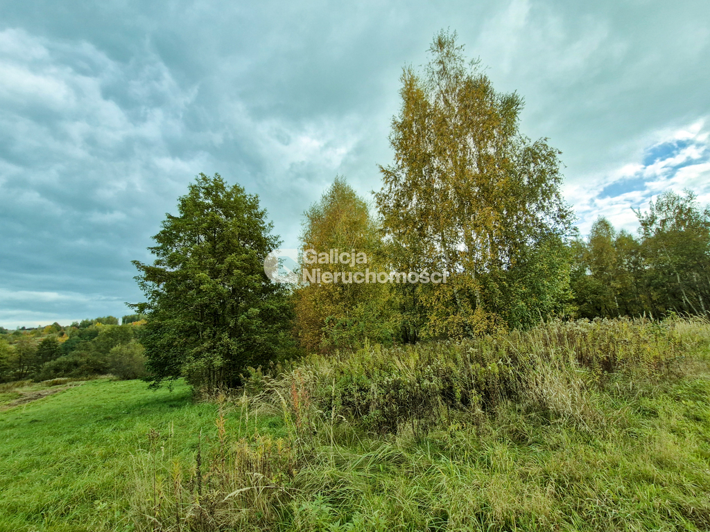 Galicja Nieruchomości Galicja Nieruchomości