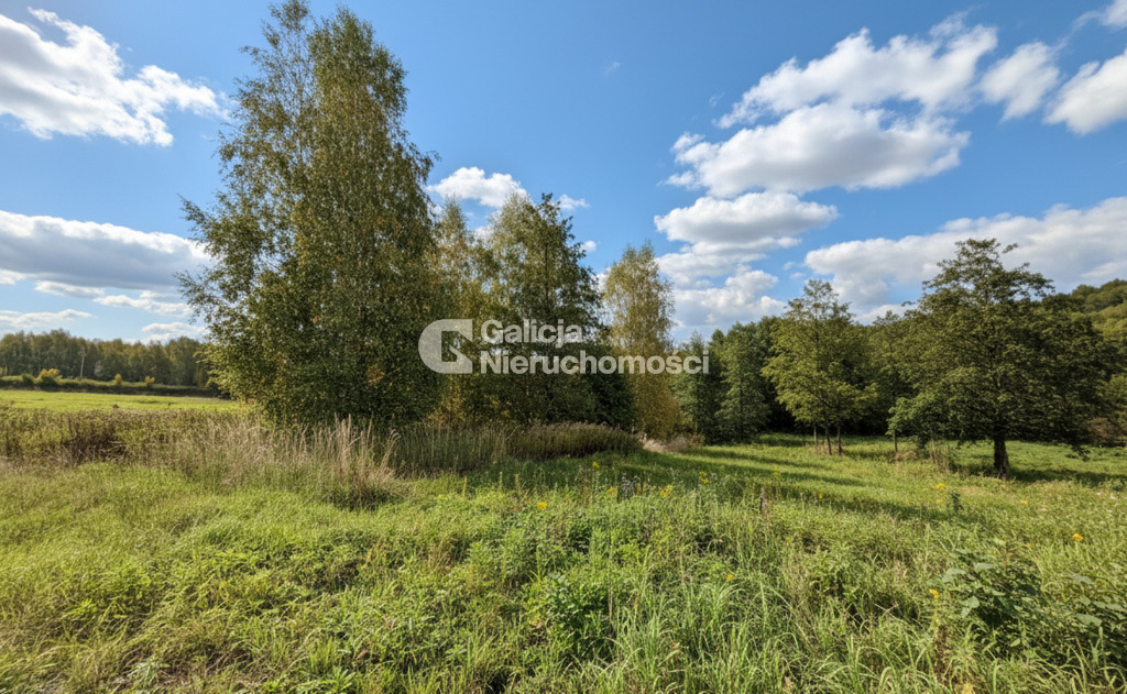 Galicja Nieruchomości Galicja Nieruchomości