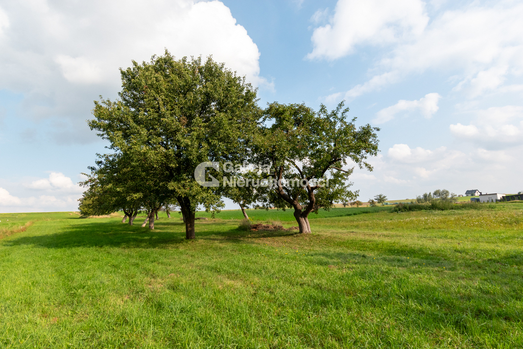 Galicja Nieruchomości Galicja Nieruchomości